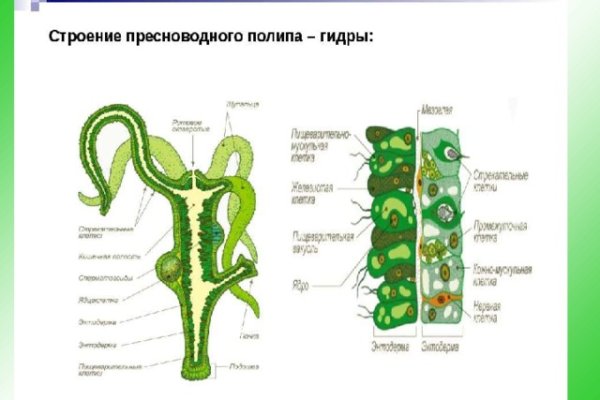 Кракен маркет это