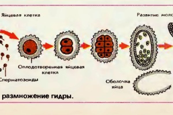 Кракен ссылка тор браузер